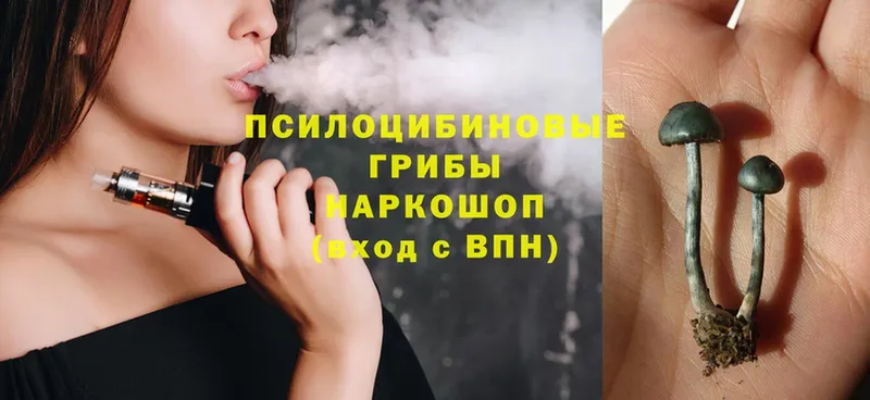 OMG как войти  Белоярский  Галлюциногенные грибы Psilocybe 